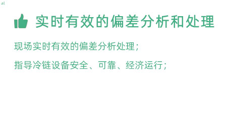 實(shí)時(shí)有效的偏差分析和處理：實(shí)時(shí)有效的偏差處理； 指導(dǎo)冷鏈設(shè)備安全、可靠、經(jīng)濟(jì)運(yùn)行；